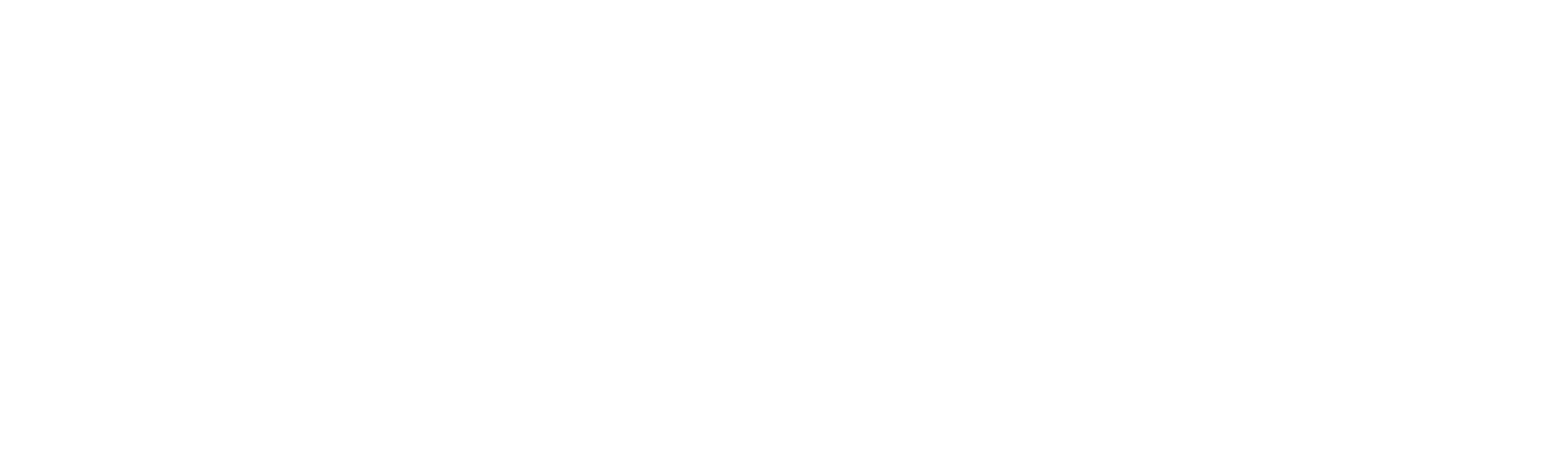logo moreti